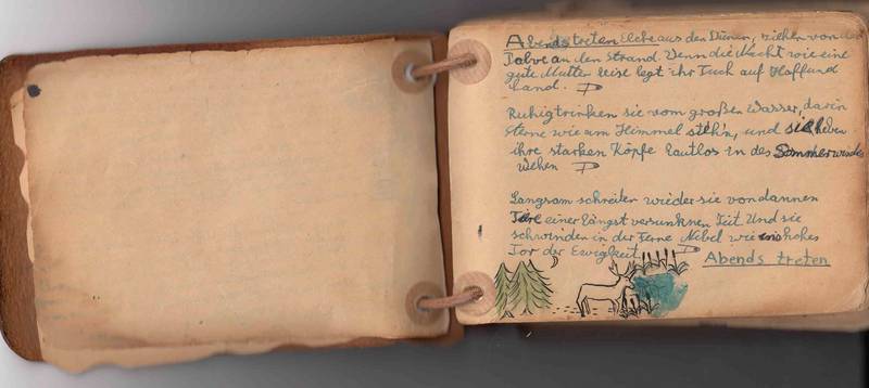 mein altes Liederbuch